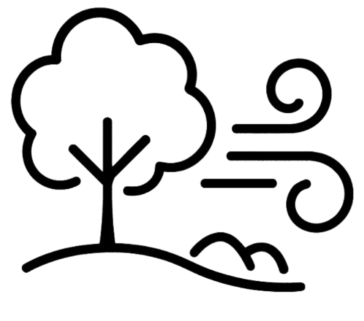 Gentle Breeze Through Trees