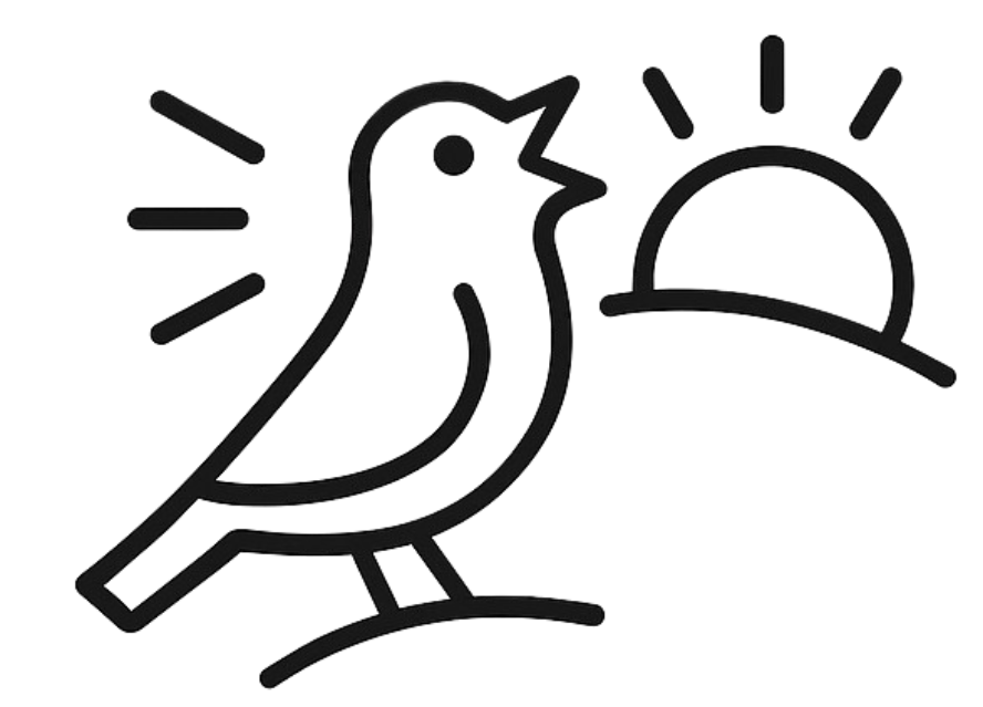 Morning Birdsong