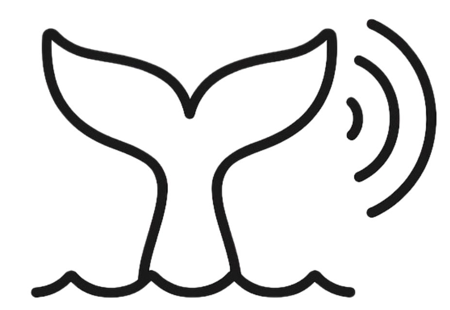 Whale Song